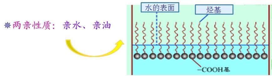 <a href='http://www.the-business.cn/product/product-0001,0011,0018.shtml' class='keys' title='點擊查看關于潤濕劑的相關信息' target='_blank'>潤濕劑</a>